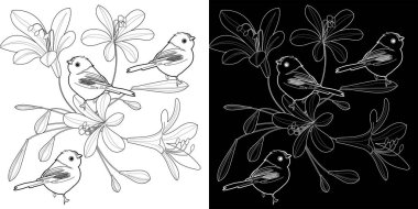 Sanat terapisi boyama sayfası. Flovers 'ın doğrusal görüntüsü. Resimler kartlar, çıkartmalar, duvar kağıtları ve diğer projeler için mükemmel.