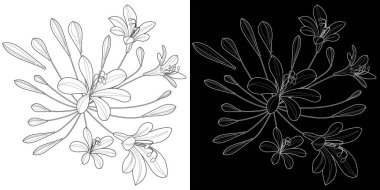 Sanat terapisi boyama sayfası. Flovers 'ın doğrusal görüntüsü. Resimler kartlar, çıkartmalar, duvar kağıtları ve diğer projeler için mükemmel.