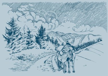 Kırsal manzara manzarası kırsal çayırların manzarası. Küçük tepelerdeki yeşil çim tarlası. Vektör çizimi çizimi