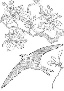 Sanat terapisi boyama sayfası. Çocuklar ve yetişkinler için boyama kitabı antistresi. Kuşlar ve çiçek açan erik ağacı. Doğaya daha bağlı hissetmek isteyenler için ideal..