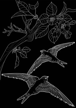 Sanat terapisi boyama sayfası. Çocuklar ve yetişkinler için boyama kitabı antistresi. Kuşlar ve çiçek açan erik ağacı. Doğaya daha bağlı hissetmek isteyenler için ideal..