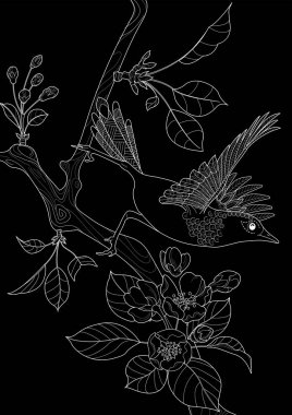 Sanat terapisi boyama sayfası. Çocuklar ve yetişkinler için boyama kitabı antistresi. Kuşlar ve çiçek açan erik ağacı. Doğaya daha bağlı hissetmek isteyenler için ideal..