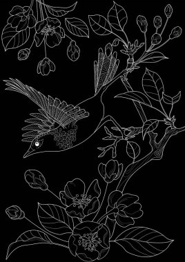 Sanat terapisi boyama sayfası. Çocuklar ve yetişkinler için boyama kitabı antistresi. Kuşlar ve çiçek açan erik ağacı. Doğaya daha bağlı hissetmek isteyenler için ideal..