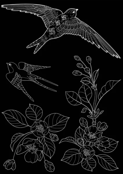 Sanat terapisi boyama sayfası. Çocuklar ve yetişkinler için boyama kitabı antistresi. Kuşlar ve çiçek açan erik ağacı. Doğaya daha bağlı hissetmek isteyenler için ideal..