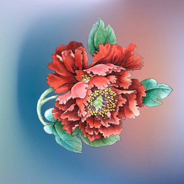 Çiçekler suluboya illüstrasyon. Beyaz arka planda yalıtılmış şakayık çiçeği. Elle kompozisyon. Tekstil tasarımı, duvar kağıtları, tasarım elementi, tebrik kartı.