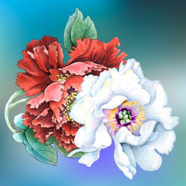 Çiçekler suluboya illüstrasyon. Beyaz arka planda yalıtılmış şakayık çiçeği. Elle kompozisyon. Tekstil tasarımı, duvar kağıtları, tasarım elementi, tebrik kartı.