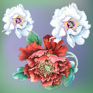 Çiçekler suluboya illüstrasyon. Beyaz arka planda yalıtılmış şakayık çiçeği. Elle kompozisyon. Tekstil tasarımı, duvar kağıtları, tasarım elementi, tebrik kartı.