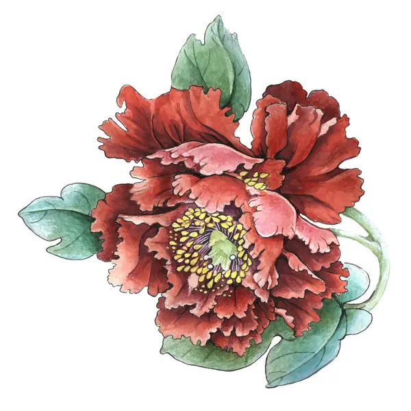 Çiçekler suluboya illüstrasyon. Beyaz arka planda yalıtılmış şakayık çiçeği. Elle kompozisyon. Tekstil tasarımı, duvar kağıtları, tasarım elementi, tebrik kartı.