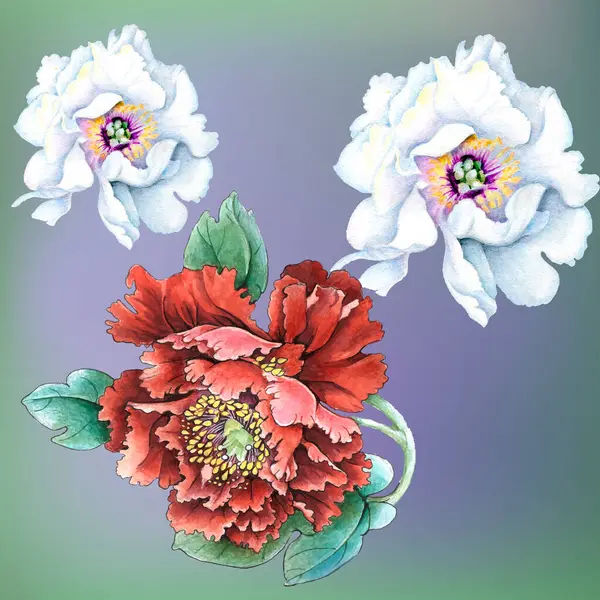 Çiçekler suluboya illüstrasyon. Beyaz arka planda yalıtılmış şakayık çiçeği. Elle kompozisyon. Tekstil tasarımı, duvar kağıtları, tasarım elementi, tebrik kartı.
