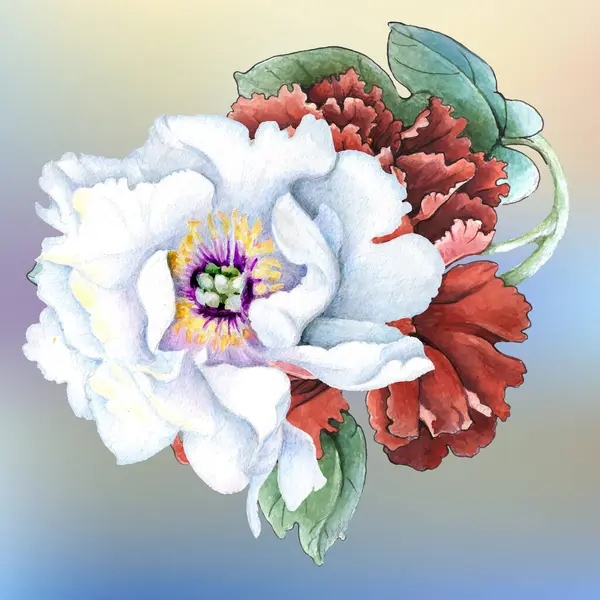 Çiçekler suluboya illüstrasyon. Beyaz arka planda yalıtılmış şakayık çiçeği. Elle kompozisyon. Tekstil tasarımı, duvar kağıtları, tasarım elementi, tebrik kartı.