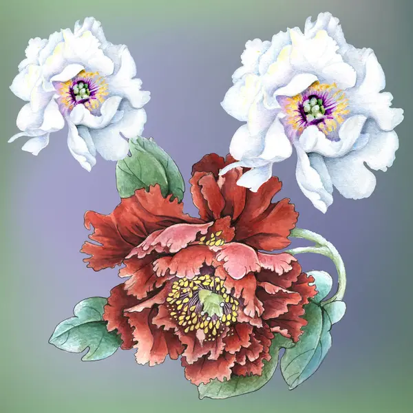 Çiçekler suluboya illüstrasyon. Beyaz arka planda yalıtılmış şakayık çiçeği. Elle kompozisyon. Tekstil tasarımı, duvar kağıtları, tasarım elementi, tebrik kartı.