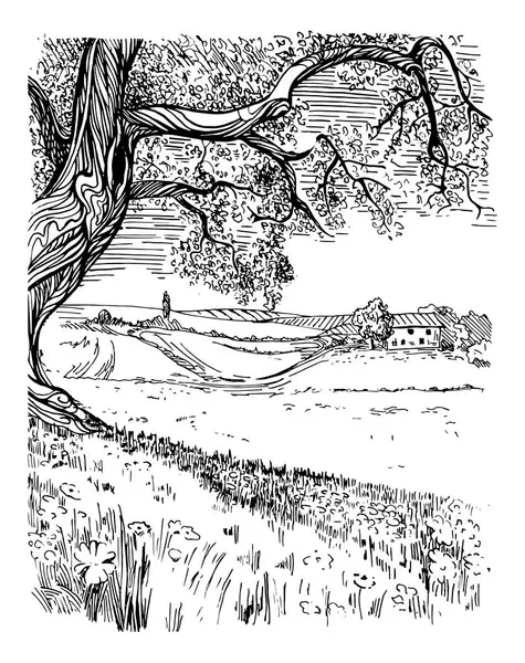 Kırsal alan, ağaç ve dere. El çizimi vektöre çevrildi.
