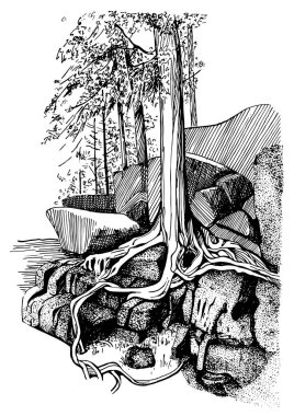 Dağlarda dağılmış kayalar ve bir ağaç. Bir dağ manzarasının doğrusal çizimi bir vektör çizimine dönüştürüldü