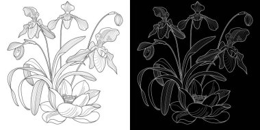 Sanat terapisi boyama sayfası. Çocuklar ve yetişkinler için boyama kitabı antistresi. Kuşlar ve çiçekler klasik tarzda çizilmiş. Doğaya daha bağlı hissetmek isteyenler için ideal..