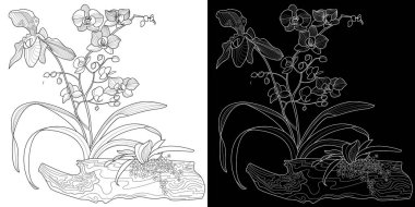 Sanat terapisi boyama sayfası. Çocuklar ve yetişkinler için boyama kitabı antistresi. Kuşlar ve çiçekler klasik tarzda çizilmiş. Doğaya daha bağlı hissetmek isteyenler için ideal..