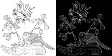 Sanat terapisi boyama sayfası. Çocuklar ve yetişkinler için boyama kitabı antistresi. Kuşlar ve çiçekler klasik tarzda çizilmiş. Doğaya daha bağlı hissetmek isteyenler için ideal..