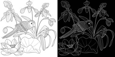 Sanat terapisi boyama sayfası. Çocuklar ve yetişkinler için boyama kitabı antistresi. Kuşlar ve çiçekler klasik tarzda çizilmiş. Doğaya daha bağlı hissetmek isteyenler için ideal..