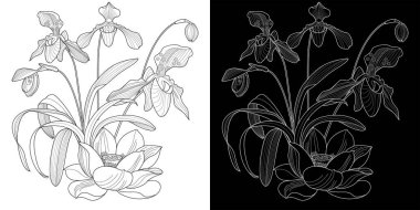 Sanat terapisi boyama sayfası. Çocuklar ve yetişkinler için boyama kitabı antistresi. Kuşlar ve çiçekler klasik tarzda çizilmiş. Doğaya daha bağlı hissetmek isteyenler için ideal..