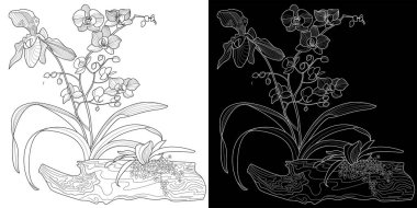 Sanat terapisi boyama sayfası. Çocuklar ve yetişkinler için boyama kitabı antistresi. Kuşlar ve çiçekler klasik tarzda çizilmiş. Doğaya daha bağlı hissetmek isteyenler için ideal..