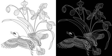 Sanat terapisi boyama sayfası. Çocuklar ve yetişkinler için boyama kitabı antistresi. Kuşlar ve çiçekler klasik tarzda çizilmiş. Doğaya daha bağlı hissetmek isteyenler için ideal..