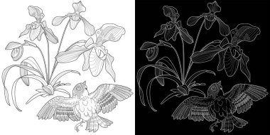 Sanat terapisi boyama sayfası. Çocuklar ve yetişkinler için boyama kitabı antistresi. Kuşlar ve çiçekler klasik tarzda çizilmiş. Doğaya daha bağlı hissetmek isteyenler için ideal..