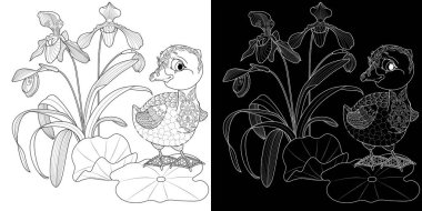 Sanat terapisi boyama sayfası. Çocuklar ve yetişkinler için boyama kitabı antistresi. Kuşlar ve çiçekler klasik tarzda çizilmiş. Doğaya daha bağlı hissetmek isteyenler için ideal..