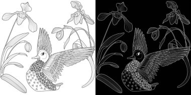 Sanat terapisi boyama sayfası. Çocuklar ve yetişkinler için boyama kitabı antistresi. Kuşlar ve çiçekler klasik tarzda çizilmiş. Doğaya daha bağlı hissetmek isteyenler için ideal..