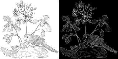 Sanat terapisi boyama sayfası. Çocuklar ve yetişkinler için boyama kitabı antistresi. Kuşlar ve çiçekler klasik tarzda çizilmiş. Doğaya daha bağlı hissetmek isteyenler için ideal..