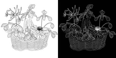 Sanat terapisi boyama sayfası. Çocuklar ve yetişkinler için boyama kitabı antistresi. Kuşlar ve çiçekler klasik tarzda çizilmiş. Doğaya daha bağlı hissetmek isteyenler için ideal..