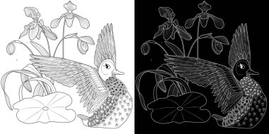 Sanat terapisi boyama sayfası. Çocuklar ve yetişkinler için boyama kitabı antistresi. Kuşlar ve çiçekler klasik tarzda çizilmiş. Doğaya daha bağlı hissetmek isteyenler için ideal..