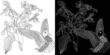 Sanat terapisi boyama sayfası. Çocuklar ve yetişkinler için boyama kitabı antistresi. Kuşlar ve çiçekler klasik tarzda çizilmiş. Doğaya daha bağlı hissetmek isteyenler için ideal..