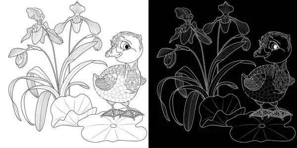 Sanat terapisi boyama sayfası. Çocuklar ve yetişkinler için boyama kitabı antistresi. Kuşlar ve çiçekler klasik tarzda çizilmiş. Doğaya daha bağlı hissetmek isteyenler için ideal..