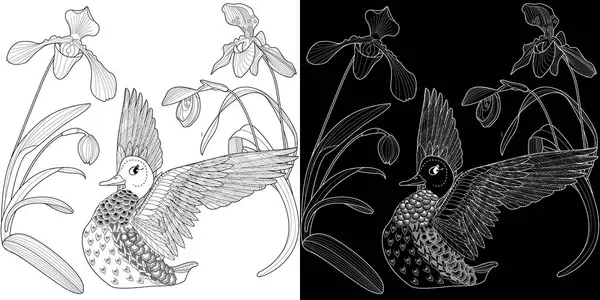 Sanat terapisi boyama sayfası. Çocuklar ve yetişkinler için boyama kitabı antistresi. Kuşlar ve çiçekler klasik tarzda çizilmiş. Doğaya daha bağlı hissetmek isteyenler için ideal..