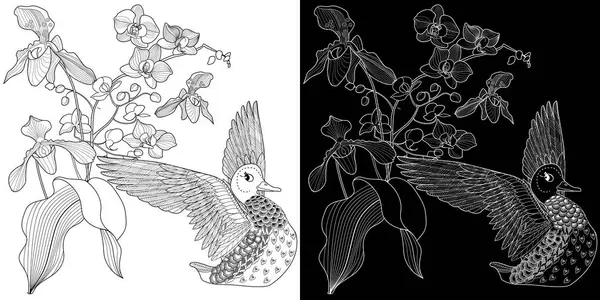 Sanat terapisi boyama sayfası. Çocuklar ve yetişkinler için boyama kitabı antistresi. Kuşlar ve çiçekler klasik tarzda çizilmiş. Doğaya daha bağlı hissetmek isteyenler için ideal..