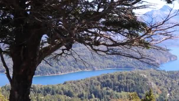 Bariloche Wald Vom Campanario Hügel — Stockvideo