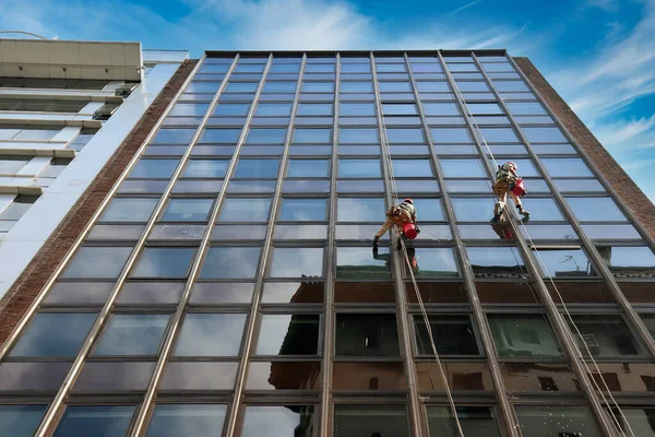 两个人在一幢摩天大楼的高处擦窗户 — 图库照片