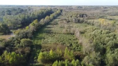 Kaplan dinlenme ve dinlenme yerindeki parana delta adaları