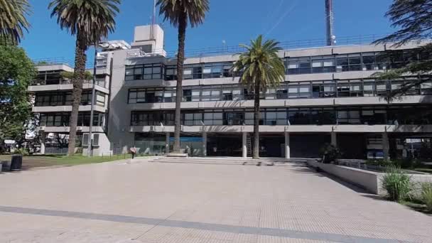 一般的なサンマルティンブエノスアイレスの市政府の建物のヤシの木 — ストック動画
