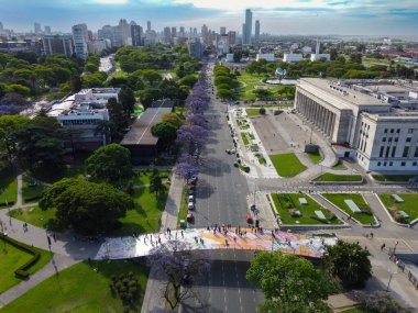 Buenos Aires 'te canlı ve hareketli bir şehir manzarası. Jacaranda ağaçları tamamen çiçek açmış.