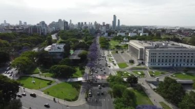 Buenos Aires 'te mor çiçekli Jacaranda ağaçları olan yaya köprüsü ve caddesi.