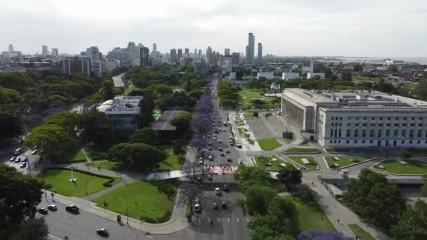 Ponte Pedonal Avenida Com Jacarandás Com Flores Roxas Buenos Aires — Vídeo de Stock