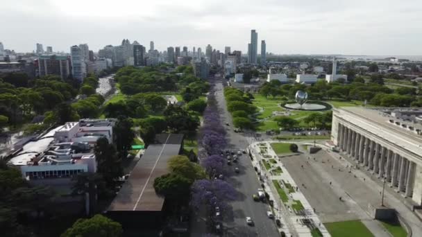 Avenida Del Libertador Buenos Aires Tijdens Bloei Van Jacaranda — Stockvideo