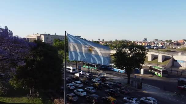 ドローンは花とアルゼンチンの旗でジャカランダの木から離れて移動します — ストック動画