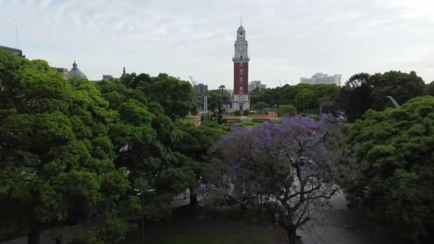 Jacaranda Fleuri Sur Place Retiro — Video