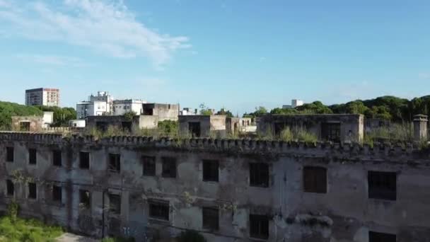 Telhados Tomados Pela Vegetação Abandono Velho Carcel Caseros Parque Patricios — Vídeo de Stock