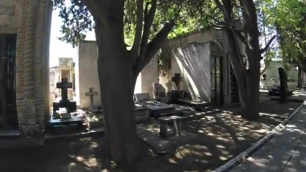 Тропа Выложенная Деревьями Могилами Сводами Общественного Кладбища Сан Антонио Падуа — стоковое видео