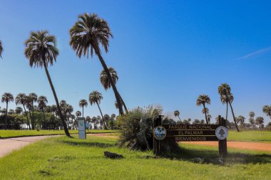 El Palmar 'ın manzarası, Entre Rios, el değmemiş bir çevrede yatay. Yapraklar ve açık gökyüzü. Huzur ve doğal güzellik.