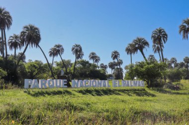 El Palmar 'daki Yatay Palmiye Bahçesi, Entre Rios. Avuçlar açık gökyüzünün altında yeşil çayırlara dağılmış. Doğal ışık, avuç içi ve flora dokusunu vurgular