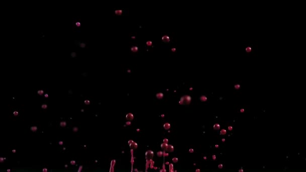 红水滴在黑色的背景上 水花飞溅 — 图库视频影像