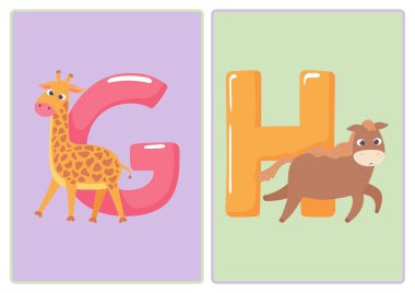 A 'dan Z' ye Hayvanlar Flaşkartları - 4